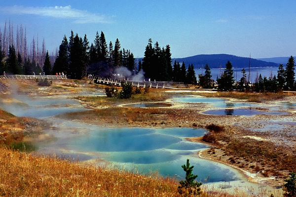 20000801   Yellowstone 184